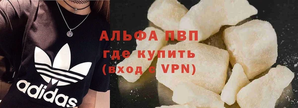 сатива Алзамай