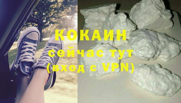 сатива Алзамай