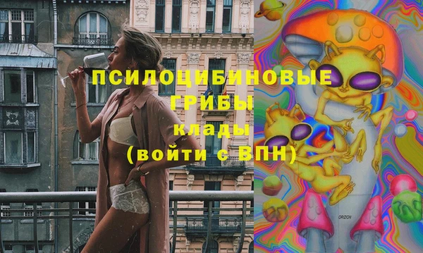 Альфа ПВП Алексин
