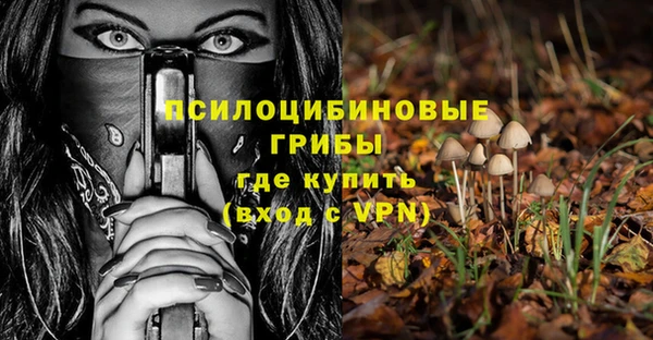 Альфа ПВП Алексин