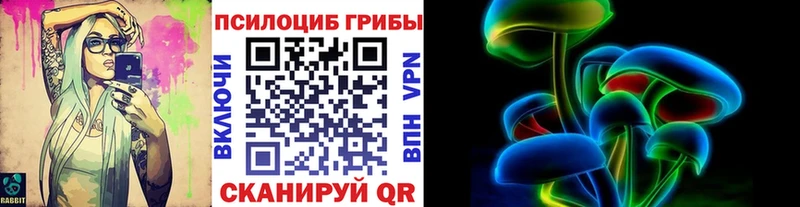 Галлюциногенные грибы Psilocybine cubensis  Олонец 